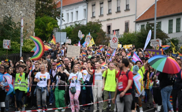 Jogellenes gyűlés miatt vádat emeltek a Pécs Pride szervezője ellen